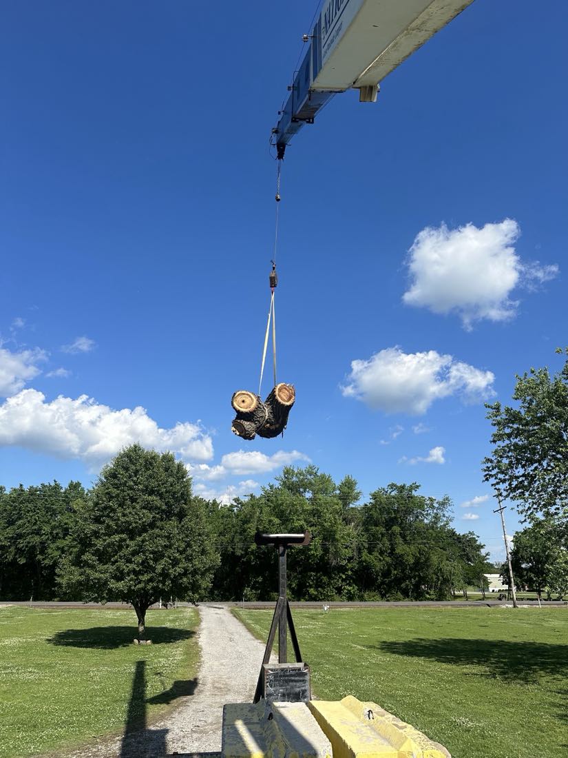L&M Tree Service tree work photo
